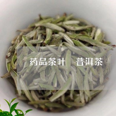 药品茶叶 普洱茶/2023040972626